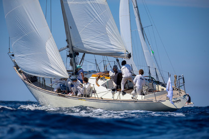 A29X4333.jpg