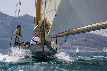 A29X4123.jpg