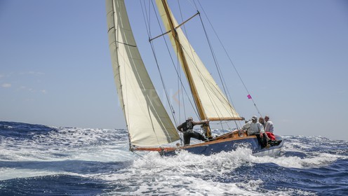 O60A5822.jpg