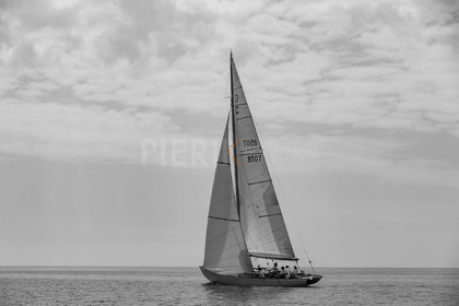 A29X2507.jpg