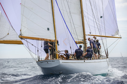 O60A3141.jpg
