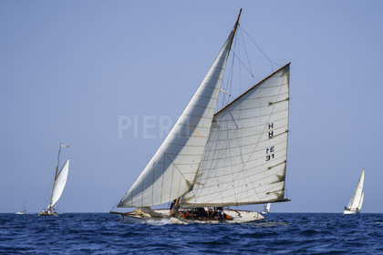 _DSC8210-c.jpg