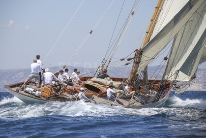 A29X9103.jpg