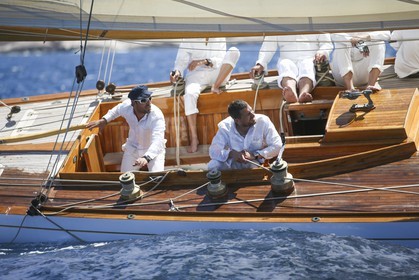 A29X6467.jpg