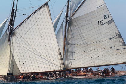 Partridge vs Nan of Fife