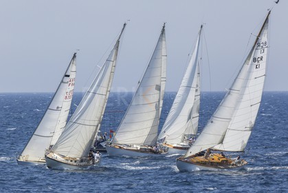 O60A1463.jpg