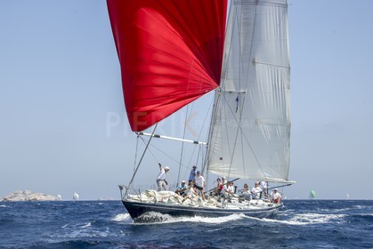 A29X1647.jpg