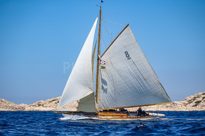 A29X4290.jpg