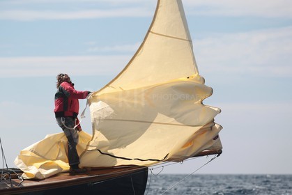 Windhover