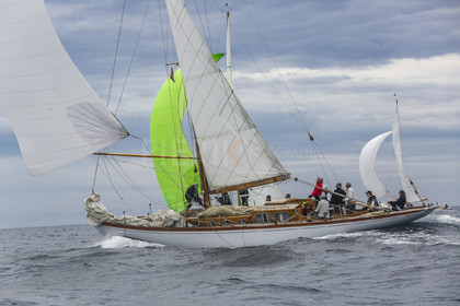 O60A1318.jpg