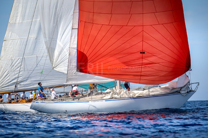 A29X4825.jpg