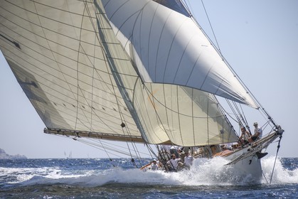 A29X9091.jpg