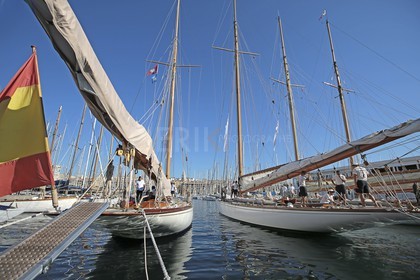 BL6A3598.jpg