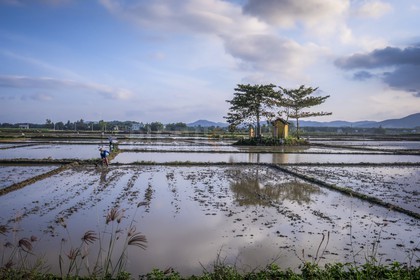 Hoi An-50.jpg