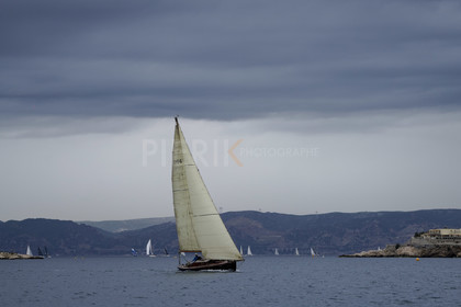 _DSC0834.jpg
