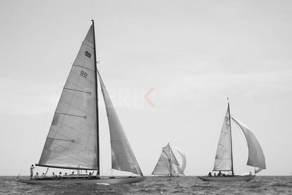 A29X2513.jpg