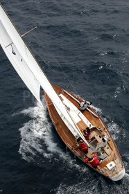 Palynodie II