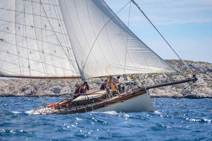 A29X9019.jpg