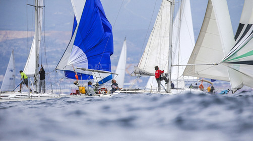 VireVire2014-260.jpg