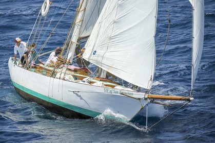 A29X1417.jpg