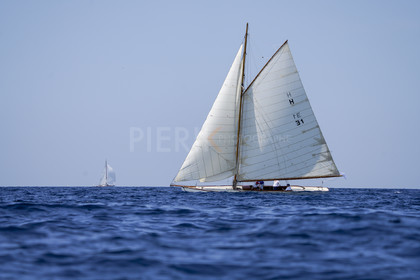 VVP_2023-7518.jpg