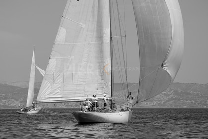 _DSC7730.jpg