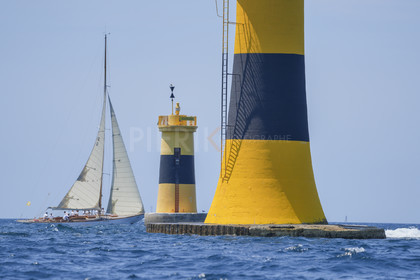 VVP_2023-08448.jpg