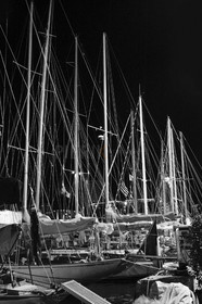 PIJ_0544.jpg
