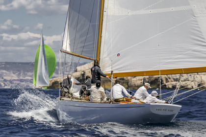 A29X1535.jpg