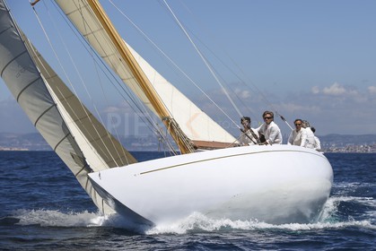 A29X6477.jpg