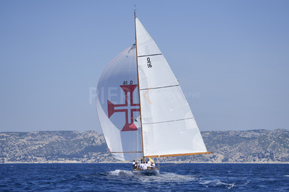 VVP_2023-08235.jpg