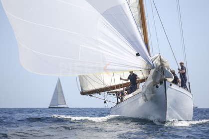 A29X6094.jpg