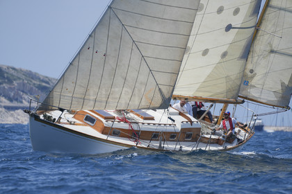 VVP_2023-08605.jpg