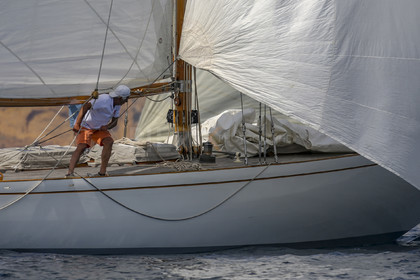 A29X2744.jpg