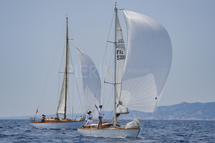 VVP_2023-07876.jpg