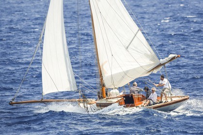 _60A1639.jpg