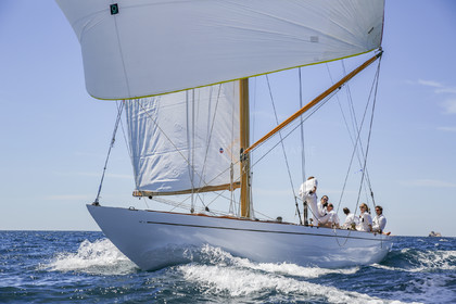 O60A8119.jpg