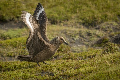 A29X4854.jpg