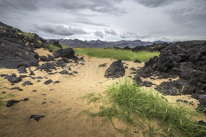A29X3725.jpg