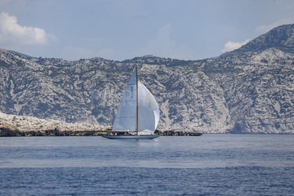 A29X2568.jpg