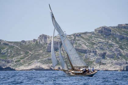 VVP_2023-07547.jpg