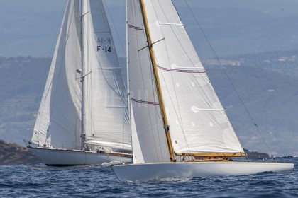 A29X7487.jpg
