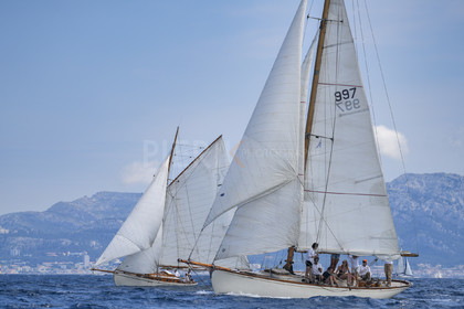 VVP_2023-08802.jpg