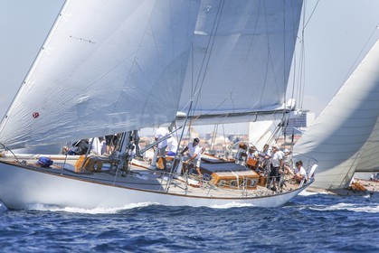 A29X8898.jpg