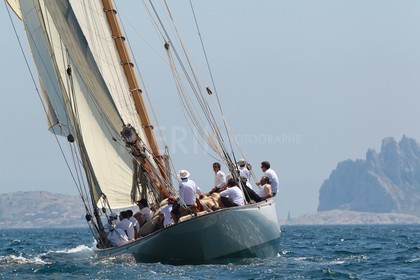 Moonbeam of Fife