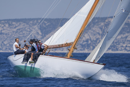 VVP_2023-08402.jpg