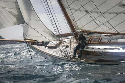 O60A5054.jpg