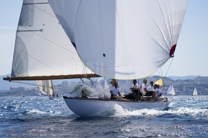 VVP_2023-08227.jpg