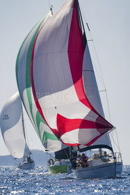 DSC01126.jpg