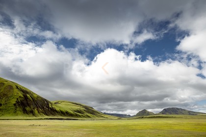 A29X5092.jpg